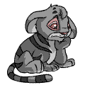Gif animé lionceau